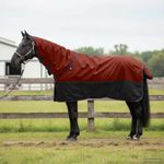 Sport si Outdoor - Accesorii si echipamente sportive - Echitatie - Patura pentru cai Verde inchis si negru 115 cm Poliester - Infinity.ro