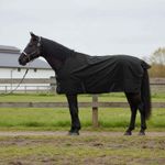 Sport si Outdoor - Accesorii si echipamente sportive - Echitatie - Patura pentru cai Verde inchis si negru 125 cm Poliester - Infinity.ro