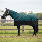 Sport si Outdoor - Accesorii si echipamente sportive - Echitatie - Patura pentru cai Verde inchis si negru 105 cm Poliester - Infinity.ro