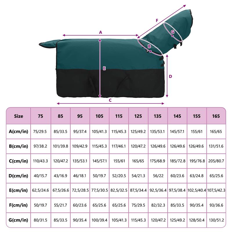 Petshop - Accesorii petshop - Alte accesorii petshop - Patura pentru cai Verde inchis si negru 85 cm Poliester - Infinity.ro