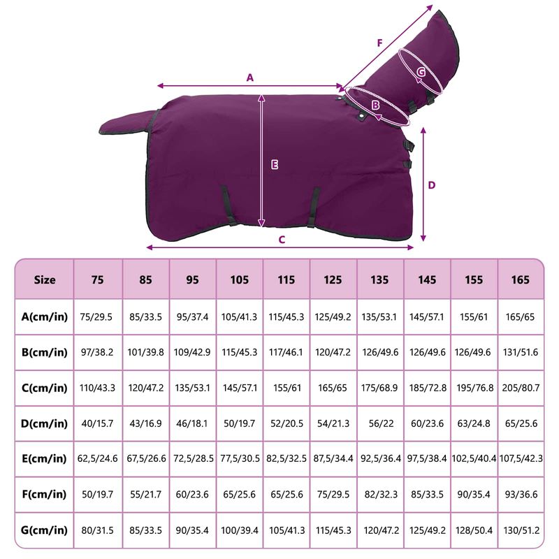 Petshop - Accesorii petshop - Alte accesorii petshop - Patura pentru cai Verde inchis si negru 145 cm Poliester - Infinity.ro