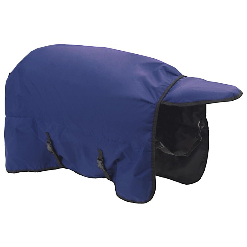 Sport si Outdoor - Accesorii si echipamente sportive - Echitatie - Patura pentru cai Verde inchis si negru 165 cm Poliester - Infinity.ro