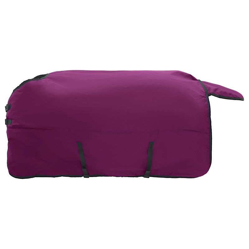 Sport si Outdoor - Accesorii si echipamente sportive - Echitatie - Patura pentru cai Verde inchis si negru 75 cm Poliester - Infinity.ro