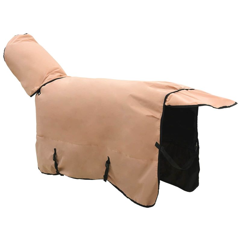 Sport si Outdoor - Accesorii si echipamente sportive - Echitatie - Patura pentru cai Cappuccino 165 cm Poliester - Infinity.ro