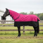 Sport si Outdoor - Accesorii si echipamente sportive - Echitatie - Patura pentru cai Roz si Negru 105 cm Poliester - Infinity.ro