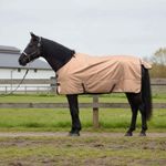 Sport si Outdoor - Accesorii si echipamente sportive - Echitatie - Patura pentru cai Cappuccino 105 cm Poliester - Infinity.ro