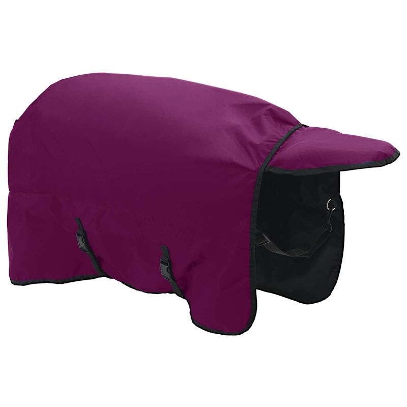 Sport si Outdoor - Accesorii si echipamente sportive - Echitatie - Patura pentru cai Verde inchis si negru 155 cm Poliester - Infinity.ro