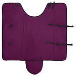 Sport si Outdoor - Accesorii si echipamente sportive - Echitatie - Patura pentru cai Verde inchis si negru 155 cm Poliester - Infinity.ro