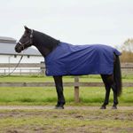 Sport si Outdoor - Accesorii si echipamente sportive - Echitatie - Patura pentru cai Verde inchis si negru 125 cm Poliester - Infinity.ro