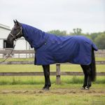 Sport si Outdoor - Accesorii si echipamente sportive - Echitatie - Patura pentru cai Verde inchis si negru 115 cm Poliester - Infinity.ro