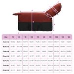 Petshop - Accesorii petshop - Alte accesorii petshop - Patura pentru cai Verde inchis si negru 145 cm Poliester - Infinity.ro