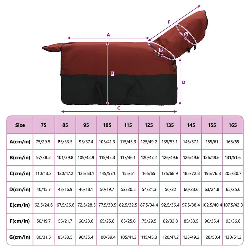 Petshop - Accesorii petshop - Alte accesorii petshop - Patura pentru cai Verde inchis si negru 75 cm Poliester - Infinity.ro