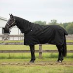 Sport si Outdoor - Accesorii si echipamente sportive - Echitatie - Patura pentru cai Verde inchis si negru 145 cm Poliester - Infinity.ro