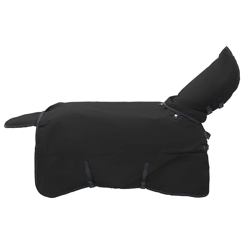Sport si Outdoor - Accesorii si echipamente sportive - Echitatie - Patura pentru cai Verde inchis si negru 145 cm Poliester - Infinity.ro
