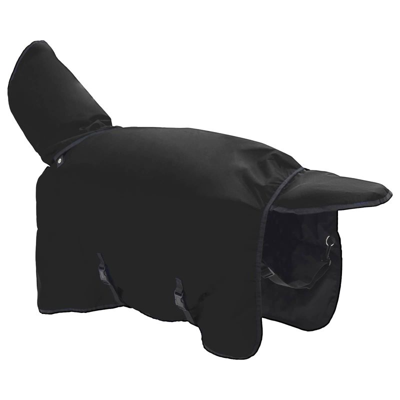 Sport si Outdoor - Accesorii si echipamente sportive - Echitatie - Patura pentru cai Verde inchis si negru 145 cm Poliester - Infinity.ro