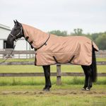 Sport si Outdoor - Accesorii si echipamente sportive - Echitatie - Patura pentru cai Cappuccino 75 cm Poliester - Infinity.ro
