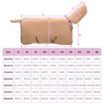 Petshop - Accesorii petshop - Alte accesorii petshop - Patura pentru cai Cappuccino 145 cm Poliester - Infinity.ro