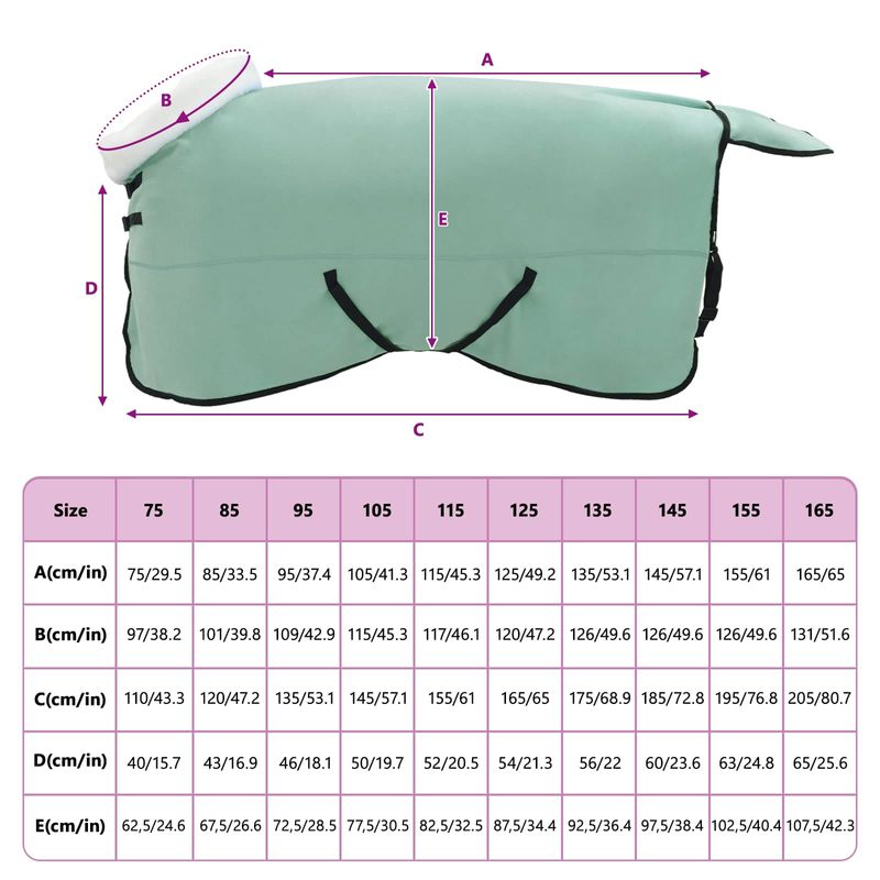 Sport si Outdoor - Accesorii si echipamente sportive - Echitatie - Patura pentru cai Verde inchis complet 155 cm Fleece polar - Infinity.ro