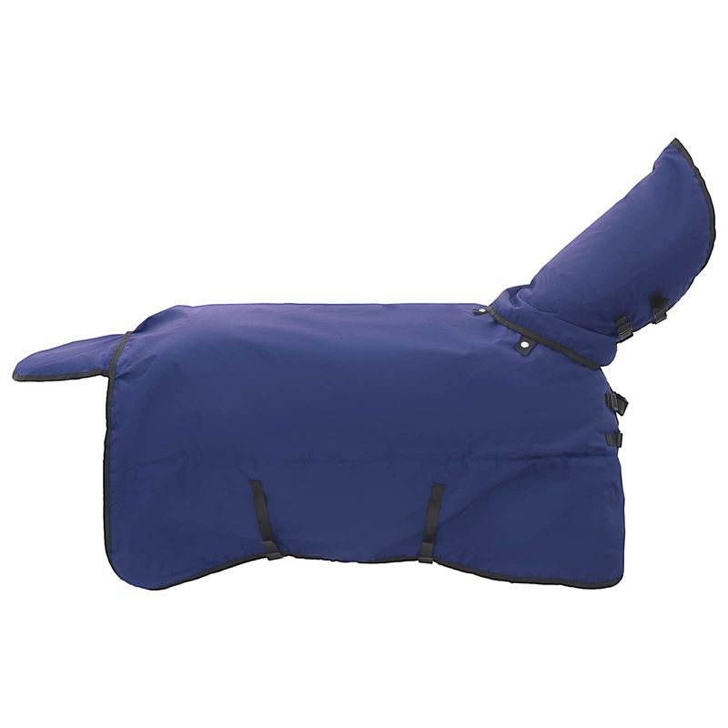 Sport si Outdoor - Accesorii si echipamente sportive - Echitatie - Patura pentru cai Verde inchis si negru 155 cm Poliester - Infinity.ro