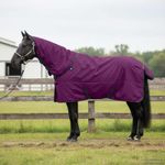 Sport si Outdoor - Accesorii si echipamente sportive - Echitatie - Patura pentru cai Verde inchis si negru 115 cm Poliester - Infinity.ro