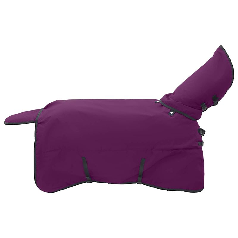 Sport si Outdoor - Accesorii si echipamente sportive - Echitatie - Patura pentru cai Verde inchis si negru 165 cm Poliester - Infinity.ro