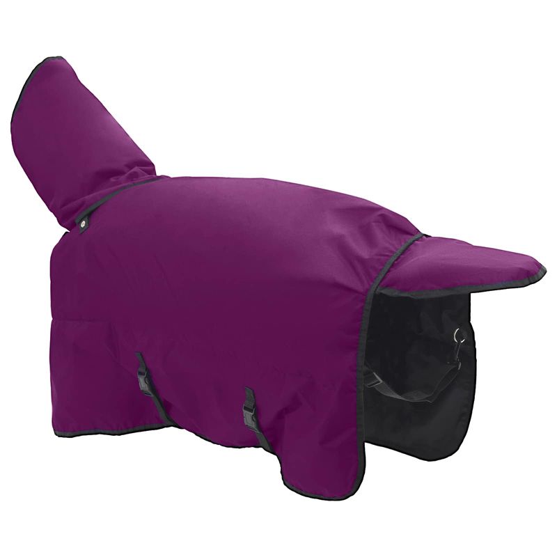Sport si Outdoor - Accesorii si echipamente sportive - Echitatie - Patura pentru cai Verde inchis si negru 165 cm Poliester - Infinity.ro