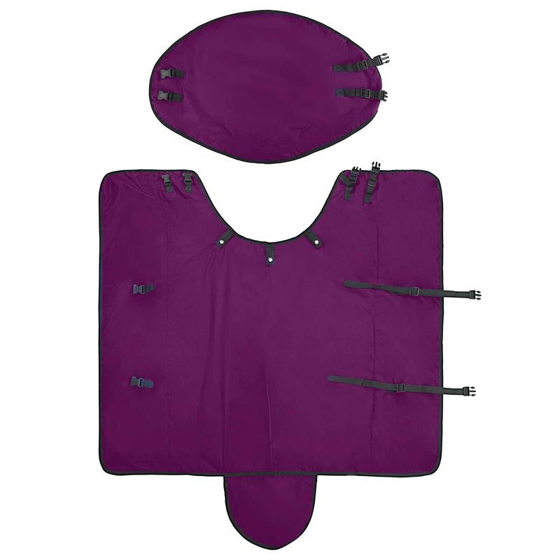 Sport si Outdoor - Accesorii si echipamente sportive - Echitatie - Patura pentru cai Verde inchis si negru 165 cm Poliester - Infinity.ro