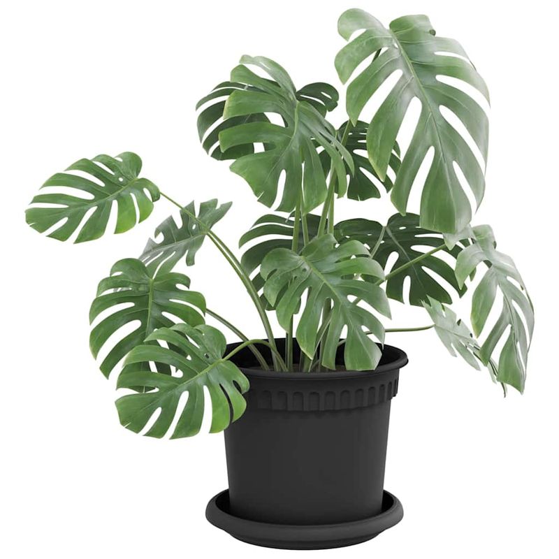 Casa si Gradina - Gradinarit si plante - Plante si ghivece - Ghivece si suporturi - Tava rotunda pentru flori 24 pcs Negru Ø 14 x 2 cm Plastic - Infinity.ro