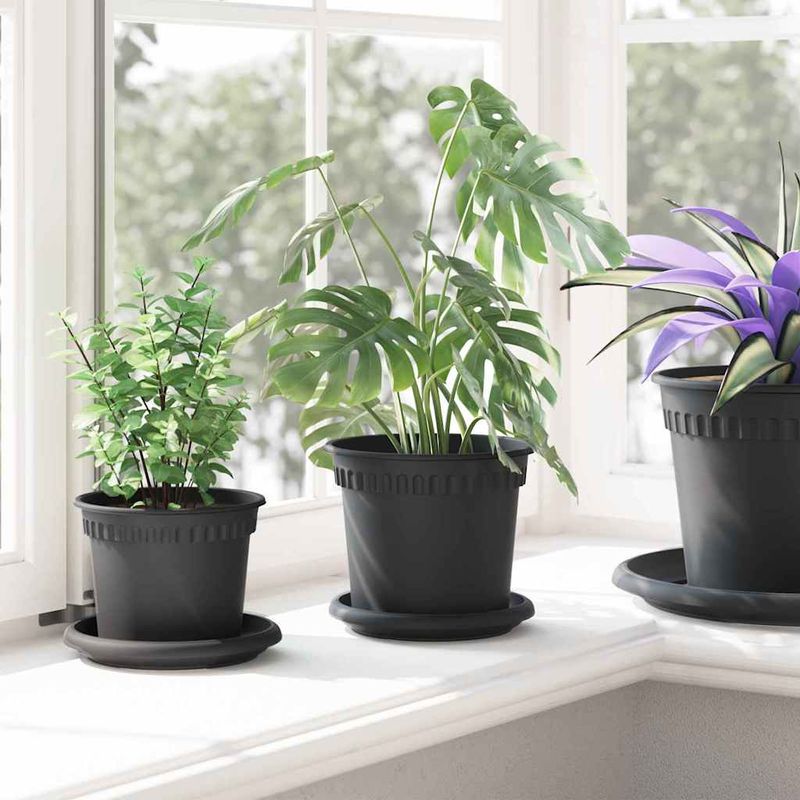 Casa si Gradina - Gradinarit si plante - Plante si ghivece - Ghivece si suporturi - Tava rotunda pentru flori 24 pcs Negru Ø 14 x 2 cm Plastic - Infinity.ro