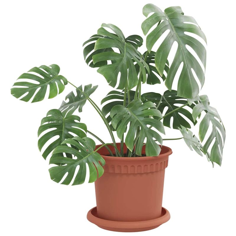 Casa si Gradina - Gradinarit si plante - Plante si ghivece - Ghivece si suporturi - Tava rotunda pentru flori 6 pcs Rosu caramida Ø 14 x 2 cm - Infinity.ro