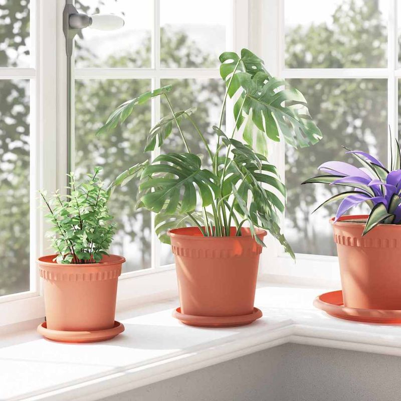 Casa si Gradina - Gradinarit si plante - Plante si ghivece - Ghivece si suporturi - Tava rotunda pentru flori 6 pcs Rosu caramida Ø 14 x 2 cm - Infinity.ro