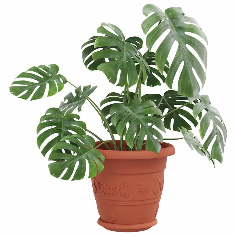 Casa si Gradina - Gradinarit si plante - Plante si ghivece - Ghivece si suporturi - Tava rotunda pentru flori 6 pcs Rosu caramida Ø 14 x 2 cm - Infinity.ro