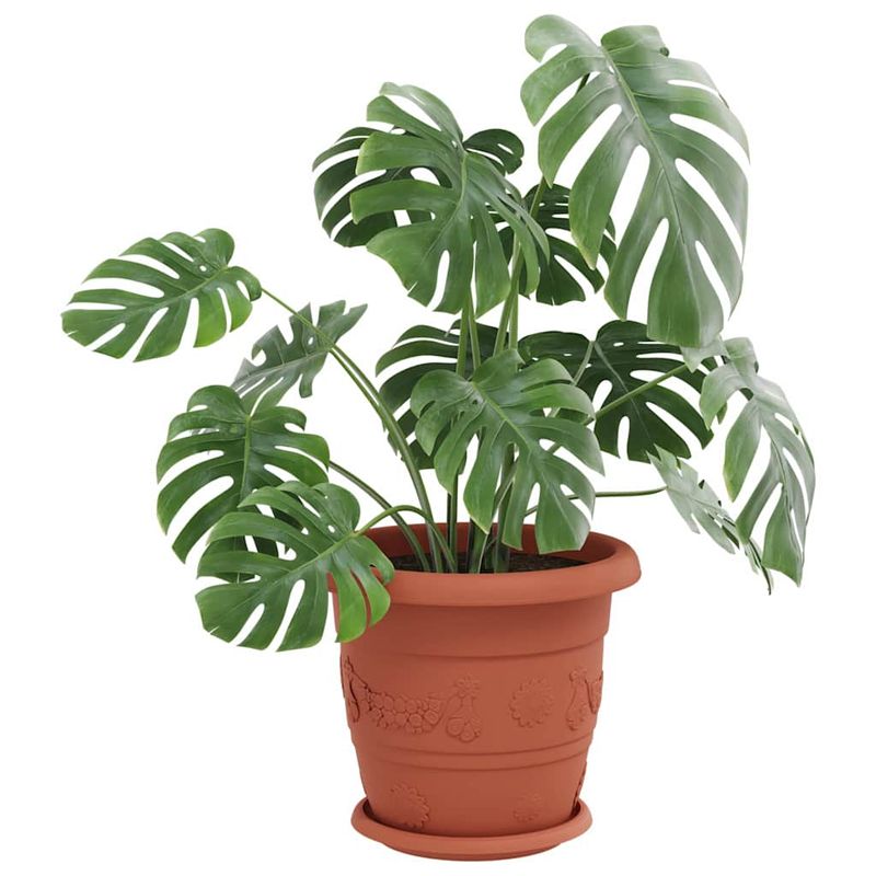 Casa si Gradina - Gradinarit si plante - Plante si ghivece - Ghivece si suporturi - Tava rotunda pentru flori 6 pcs Rosu caramida Ø 14 x 2 cm - Infinity.ro