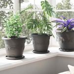 Casa si Gradina - Gradinarit si plante - Plante si ghivece - Ghivece si suporturi - Tava rotunda pentru flori 24 pcs Negru Ø 14 x 2 cm Plastic - Infinity.ro