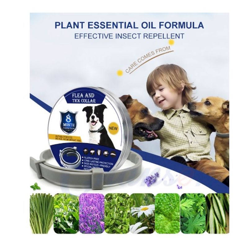 Petshop - Accesorii petshop - Zgarzi, lese si hamuri - Zgarzi - Set 2 x Zgarda CAINI anti purici si capuse 62 cm / 60 grame Antiparazitara - Infinity.ro