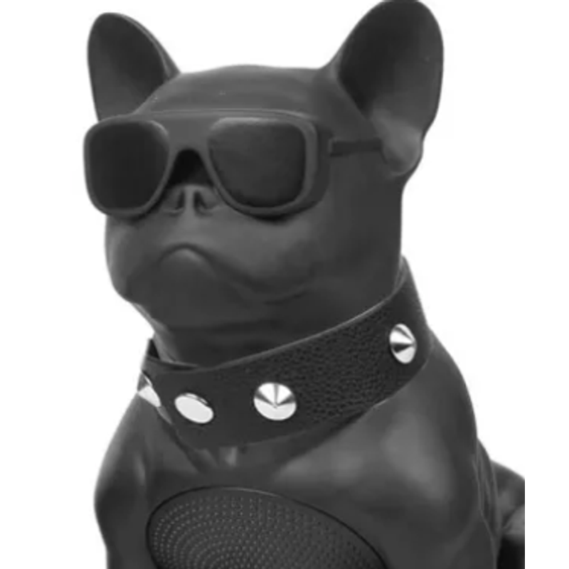 TV, Audio-Video si Foto - Portabile audio - Boxe portabile - Boxa Portabila Bulldog NEGRU Cu Bluetooth CH M11M Cititor USB Card Radio si microfon - Infinity.ro