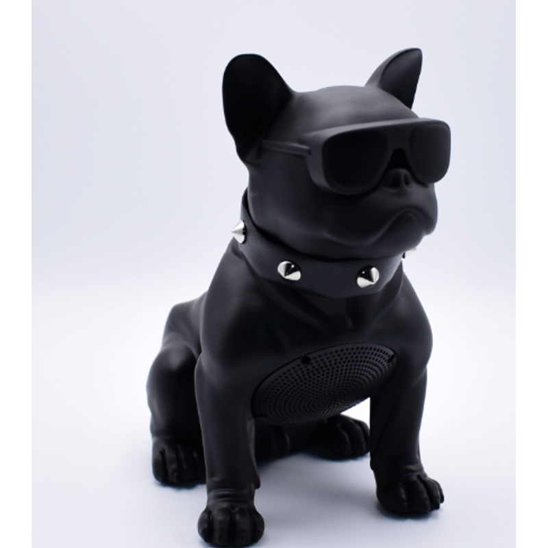 TV, Audio-Video si Foto - Portabile audio - Boxe portabile - Boxa Portabila Bulldog NEGRU Cu Bluetooth CH M11M Cititor USB Card Radio si microfon - Infinity.ro