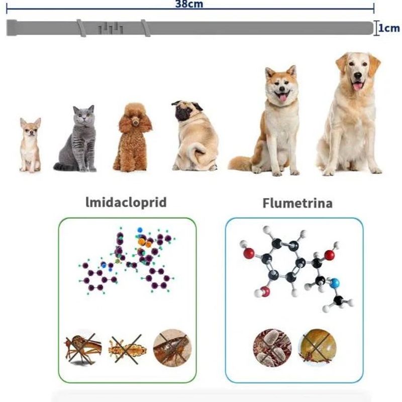 Petshop - Accesorii petshop - Zgarzi, lese si hamuri - Zgarzi - Set 2 x Zgarda CAINI anti purici si capuse 62 cm / 60 grame Antiparazitara - Infinity.ro