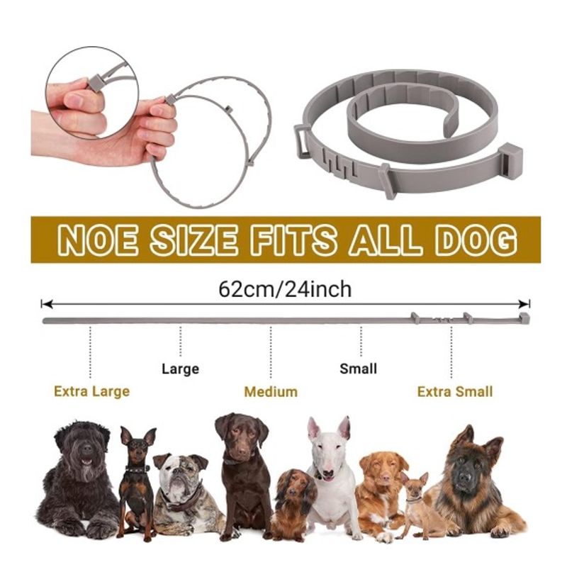 Petshop - Accesorii petshop - Zgarzi, lese si hamuri - Zgarzi - Set 2 x Zgarda CAINI anti purici si capuse 62 cm / 60 grame Antiparazitara - Infinity.ro