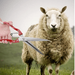 Petshop - Accesorii petshop - Alte accesorii petshop - Foarfeca multifunctionala trandafiri animale caini oi - Infinity.ro