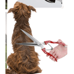 Petshop - Accesorii petshop - Alte accesorii petshop - Foarfeca multifunctionala trandafiri animale caini oi - Infinity.ro