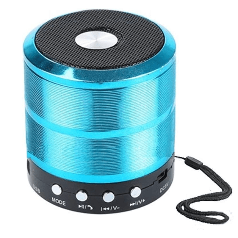 TV, Audio-Video si Foto - Portabile audio - Boxe portabile - Mini Boxa portabila WS 887 cu Bluetooth USB MP3 - Infinity.ro