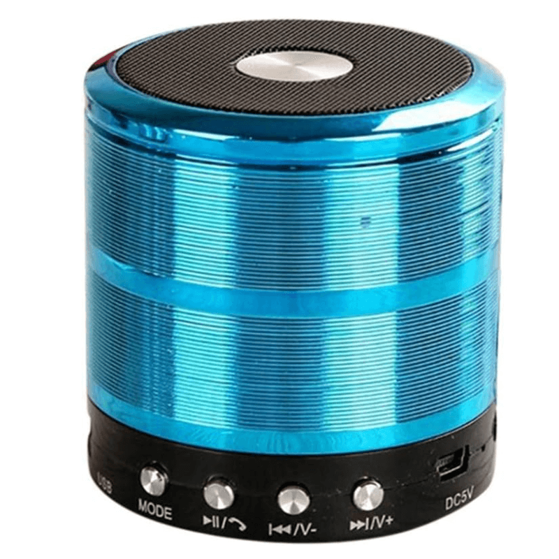 TV, Audio-Video si Foto - Portabile audio - Boxe portabile - Mini Boxa portabila WS 887 cu Bluetooth USB MP3 - Infinity.ro