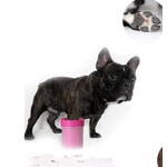 Petshop - Ingrijire si Igiena - Aparate de ingrijire - Alte aparate ingrijire animale - Pahar cu perii  MIC ROZ pentru Curatarea si Dezinfectarea Labutelor Animalelor - Infinity.ro