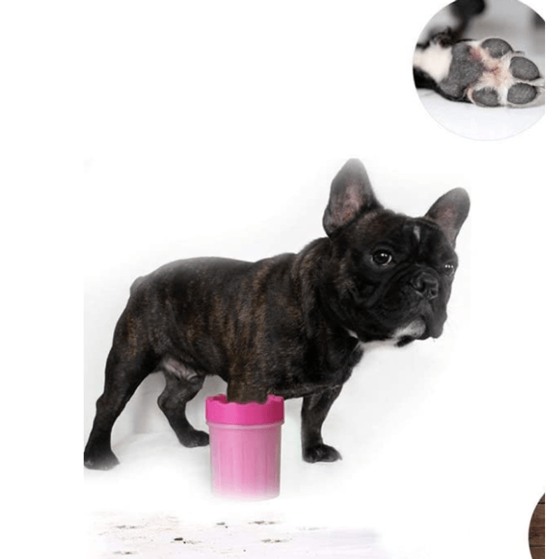 Petshop - Ingrijire si Igiena - Aparate de ingrijire - Alte aparate ingrijire animale - Pahar cu perii  MIC ROZ pentru Curatarea si Dezinfectarea Labutelor Animalelor - Infinity.ro