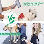 Petshop - Accesorii petshop - Alte accesorii petshop - Perie cu feon 2 in 1 pentru caini si pisici , Uscator de par pentru animale - Infinity.ro