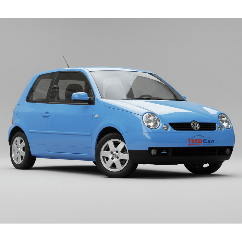 Auto si Moto - Intretinere auto - Stergatoare - Stergatoare Fiat Multipla (186) 1999-2005 – Set Complet - Infinity.ro