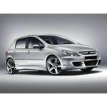 Auto si Moto - Intretinere auto - Stergatoare - Stergatoare Peugeot 307 Hatchback (2001–2008) TeamCar® Flat – Set fata - Infinity.ro