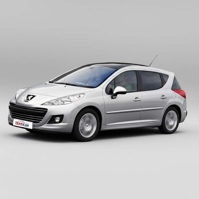 Auto si Moto - Intretinere auto - Stergatoare - Stergatoare TeamCar® Peugeot 207 SW (2006–2014) – Set fata - Infinity.ro
