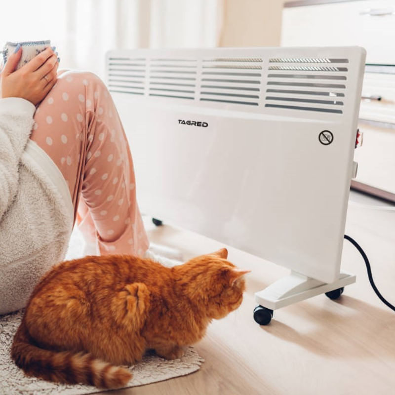 Casa si Gradina - Termice - Generatoare de aer cald - Incalzitor electric, Tagred TA912W, 2000 W, convector, 220-240 V, cu roti - Infinity.ro